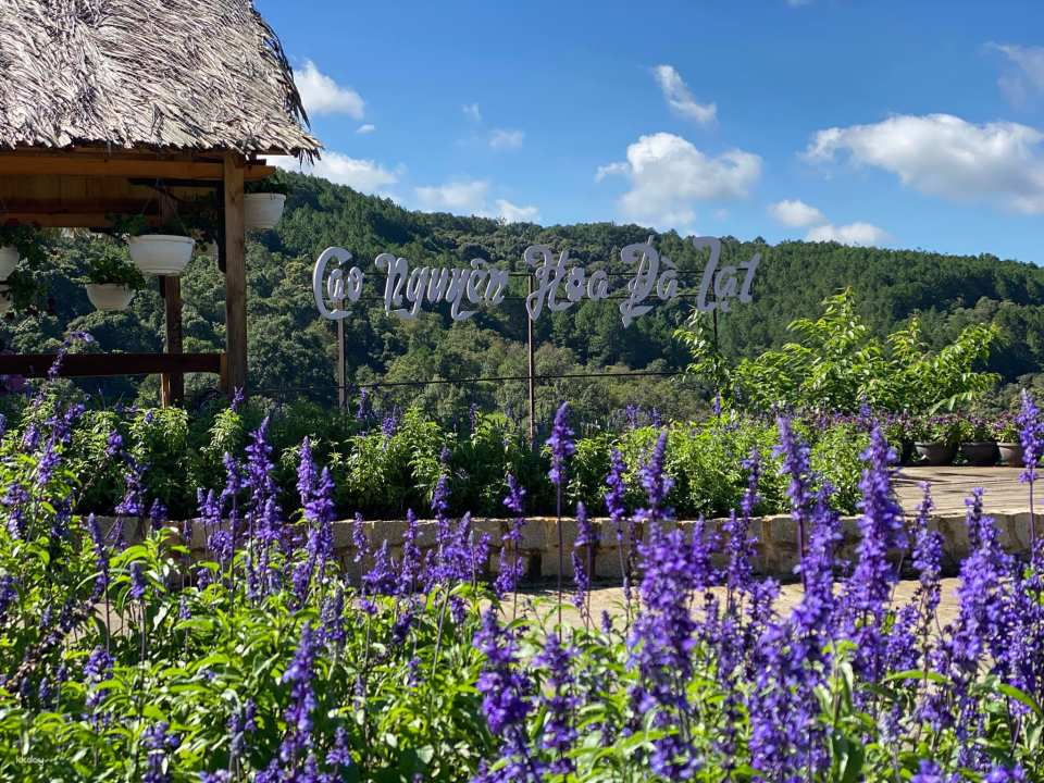 Dalat Flower Highland Ticket | Da Lat - Photo 1 of 10