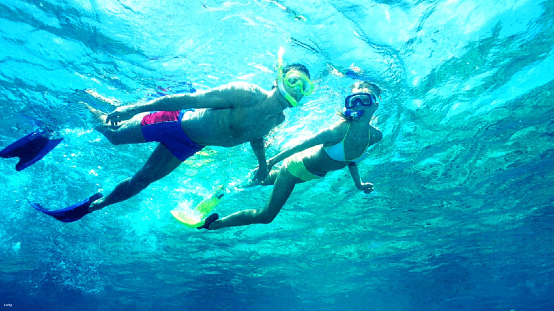 Dive into the sparkling waters of Phu Quoc exploring vibrant marine life alongside friendly locals while creating unforgettable memories with complimentary photos and videos. Experience the essence of adventure!