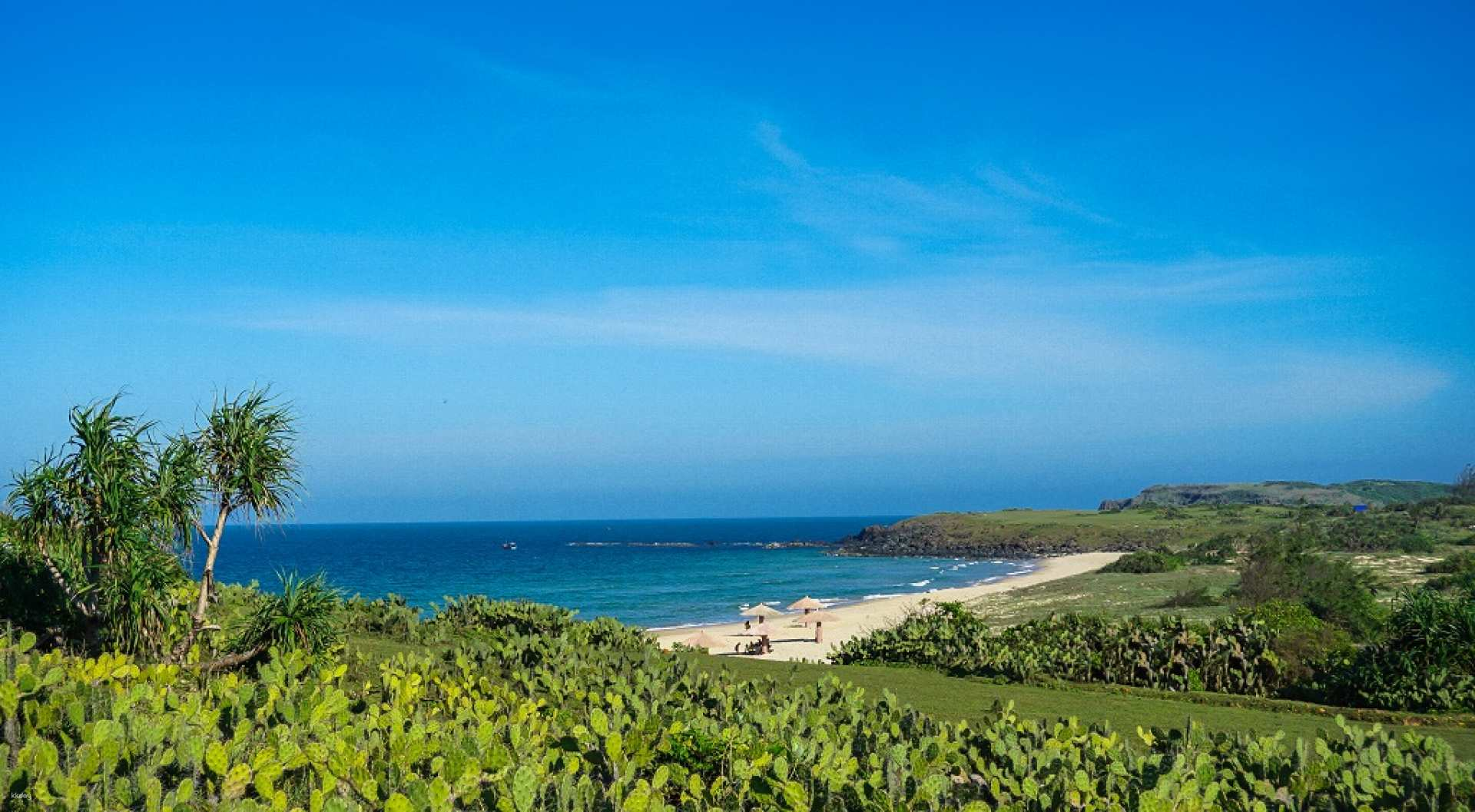 Day Tour | Phu Yen - Yellow Flowers and Green Grass and Nghinh Phong Tower (from Quy Nhon) - Photo 1 of 10