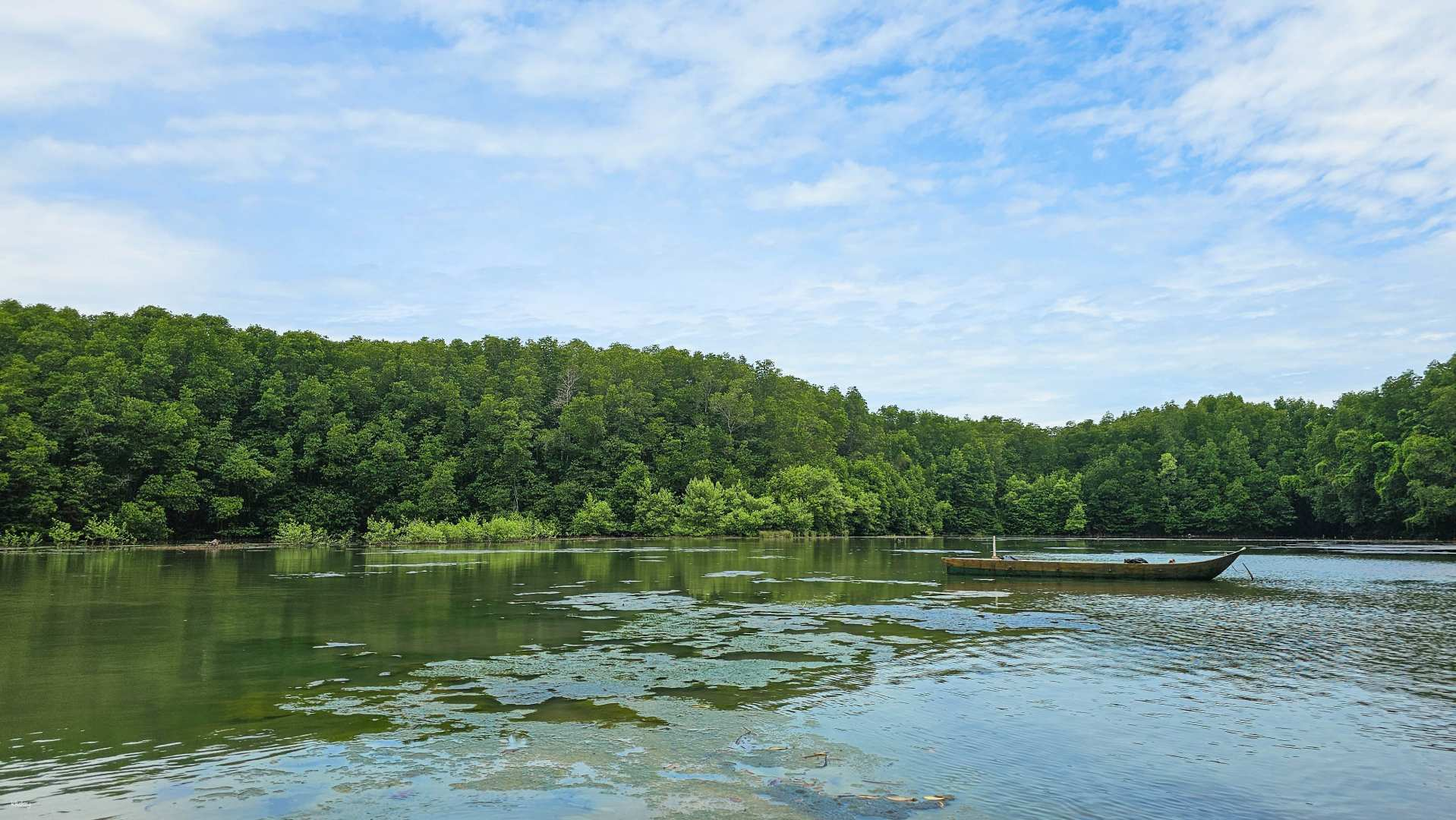 Day Tour | Speedboat Adventure to Can Gio Monkey Island: Wildlife Experience,  Tang Bong Tower Observatory with English & Vietnamese Tour Guide | Ho Chi Minh City - Vietnam - Photo 1 of 10