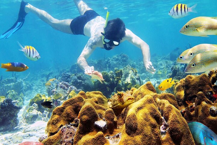 Snorkeling