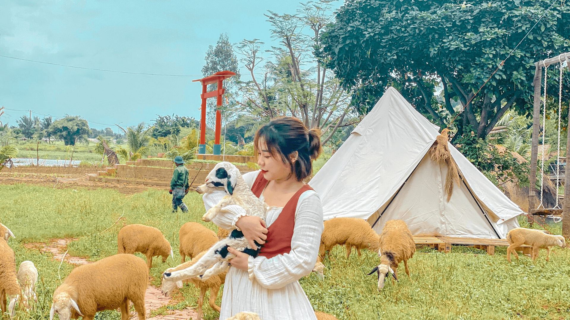 Day Tour Hang Rai, Vineyard & Suoi Tien Sheep Farm (Shared Tour) - Photo 1 of 9