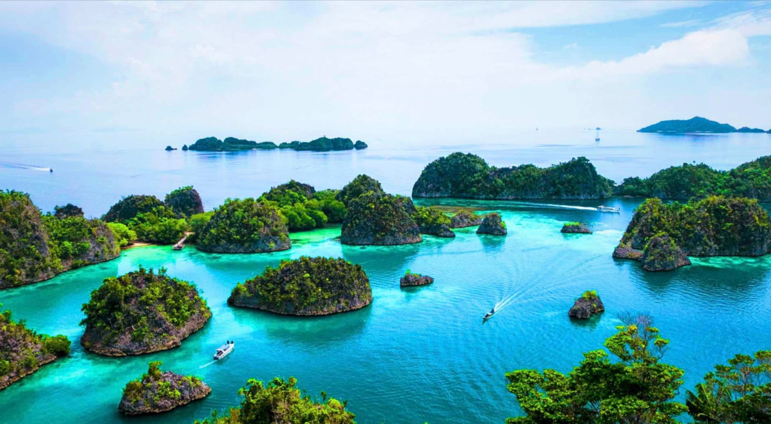 [EXTRA 12% OFF] Alova Deluxe Day Cruise | Discover Ha Long Bay with Sung Sot & Ti Top | Multiple Languages Tour Guide - Photo 1 of 6