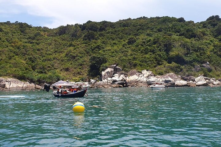 Discovery Cham Island Tour From Hoi an/Da Nang city  - Photo 1 of 13