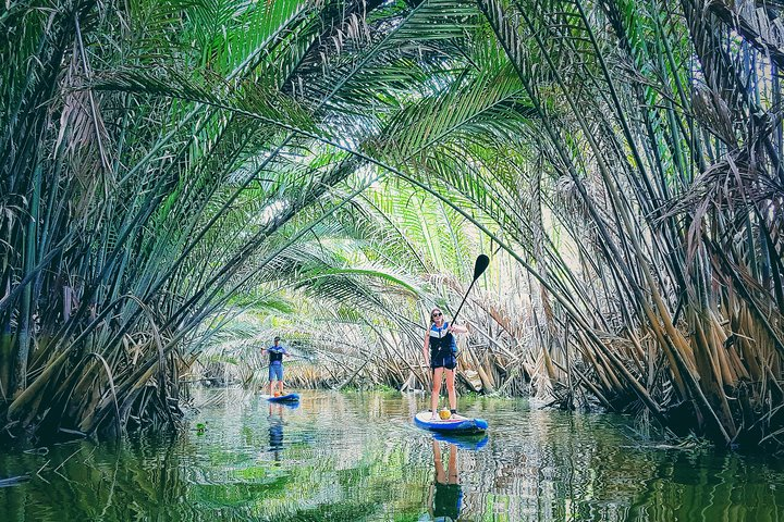 Paddling to explore the historic Vietnam War Rach Chiec jungle,  - Photo 1 of 4