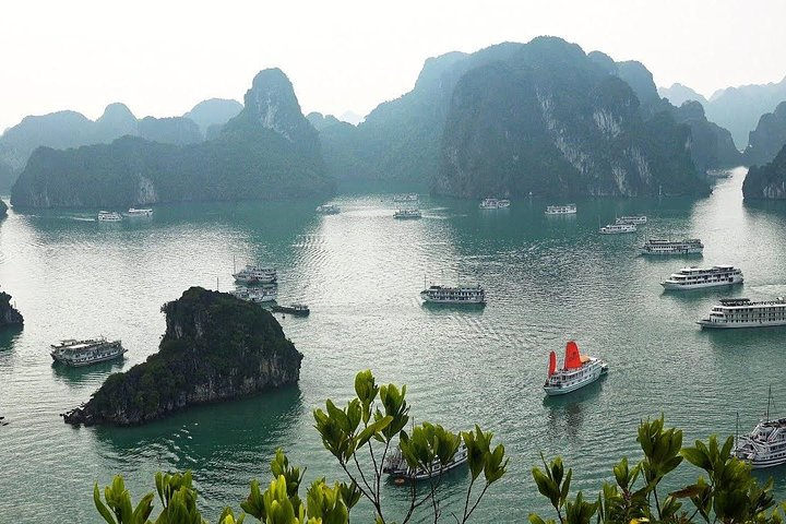 Explore Lan Ha Bay with La Casta Regal Cruise 2 days 1 night - Photo 1 of 8