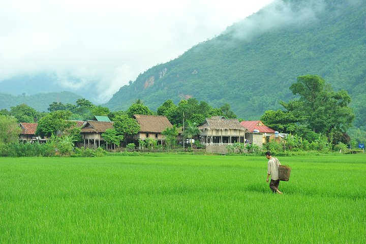 Mai Chau 01