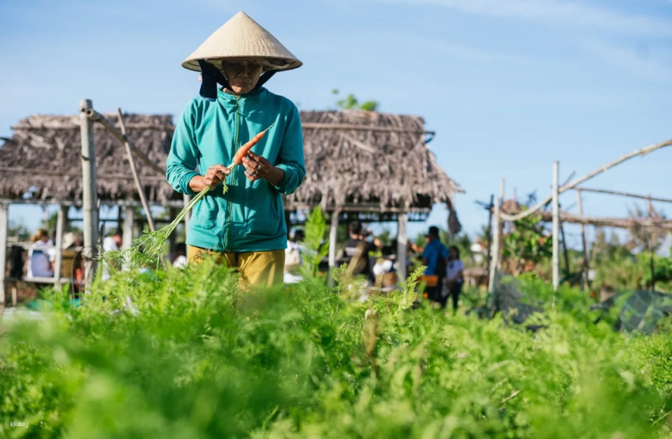 Explore Rural Life & Sustainable Agriculture at Go Noi Village | from Hoi An, Vietnam - Photo 1 of 7