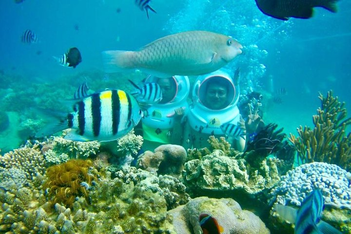 One Day Experiences In The Natural Life Nha Trang - Photo 1 of 6