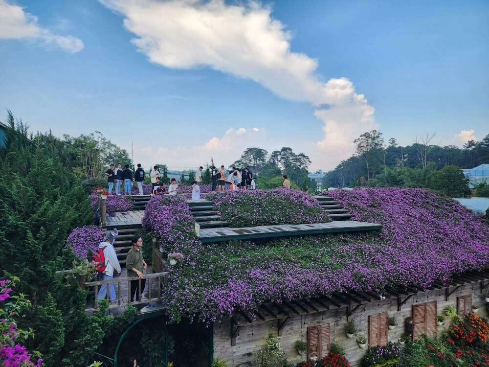 Fairytale Land & Vinh Tien Wine Cellar: Entry Ticket - Photo 1 of 11