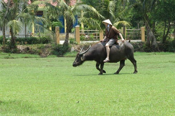 Farming with the Local Famers - Photo 1 of 7