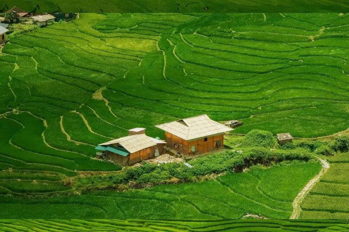 Hanoi: Sa Pa Untamed Matra – Ta Phin Trekking & Bac Ha Market - Photo 1 of 25