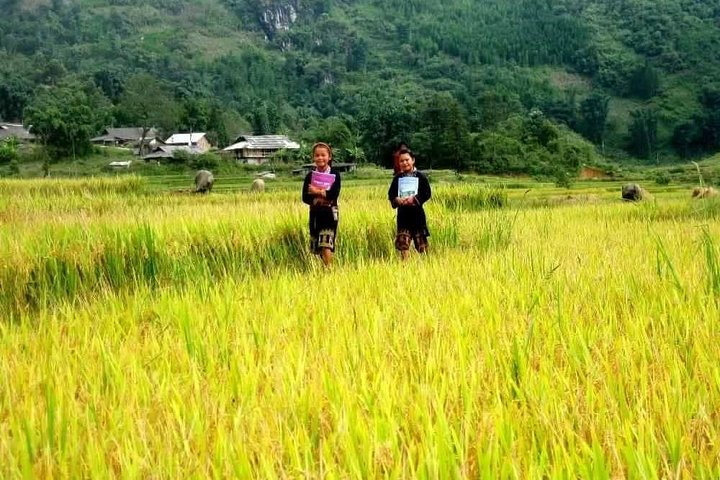 Sa Pa 2-Day Easy Trek and Homestay Bus Tour from Hanoi
