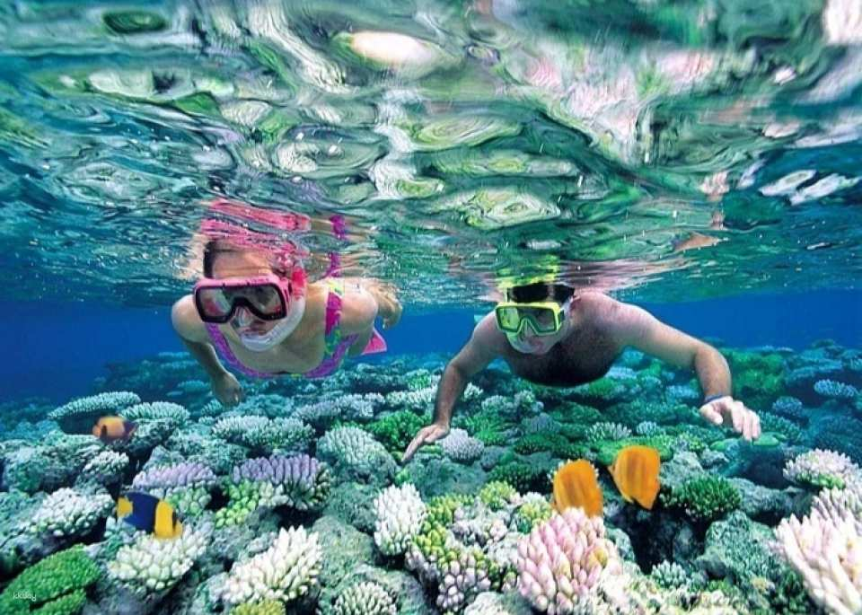 Full-Day 3 Islands Tour | Hon Mun – Fishing Village – Coral Bay 2 | Nha Trang, Vietnam - Photo 1 of 10