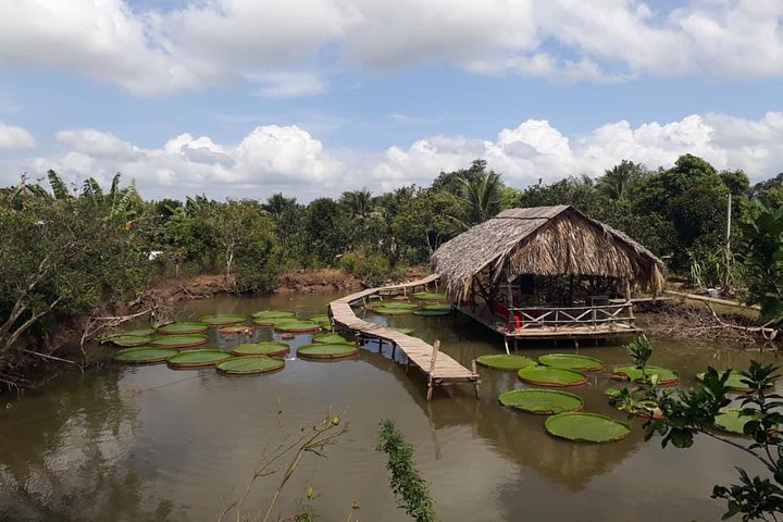 Full-day Cai Rang floating market - explore countryside, make bakery - from HCM - Photo 1 of 25