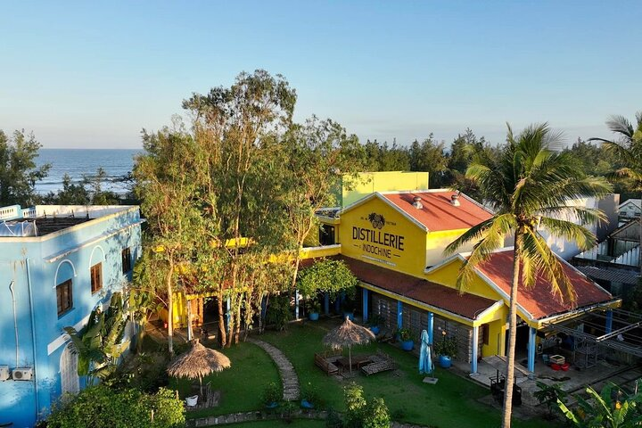 Full-day Cultural Cruise Discovering Hoi An's Treasures - Photo 1 of 22