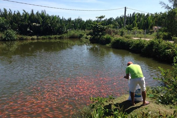 800-VDHATB-HoiAnRuralLife-BikesBask