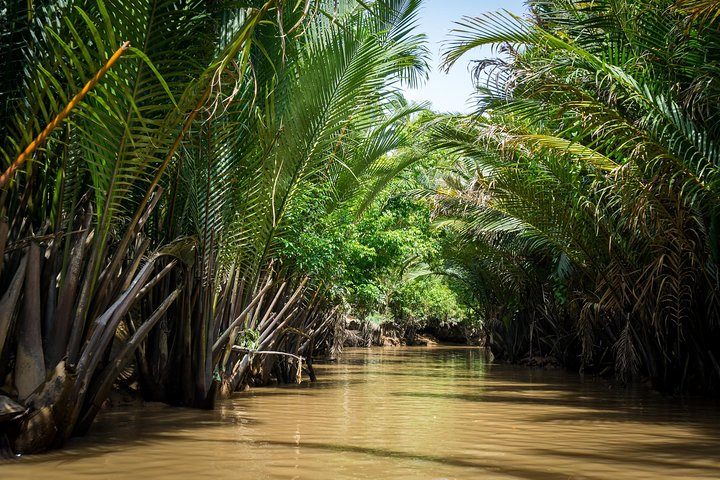 Mekong Delta Small Group Full Day Tour - Photo 1 of 25