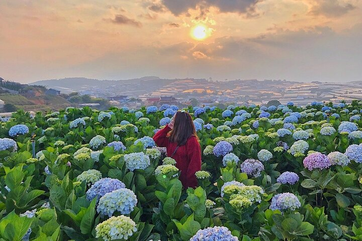 Full Day Car Tour Excursion Dalat ( Minimum 4 guest) - Photo 1 of 12