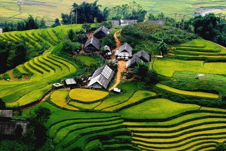 Explore picturesque terraced rice fields and charming village life guided by a local expert. Experience traditional customs and delicious cuisine amid stunning mountain landscapes perfect for adventurous travelers.
