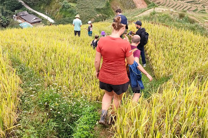 Full Day Private Trekking Mu Cang Chai - Photo 1 of 25