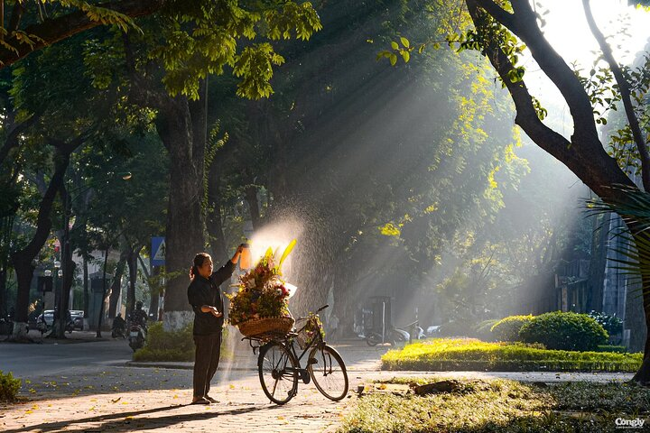 Sunshine highlights a street vendor