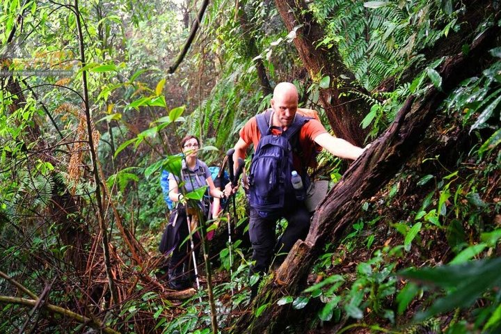 Group tour - Trekking on the Trails of Northern Vietnam 9 days - Photo 1 of 13