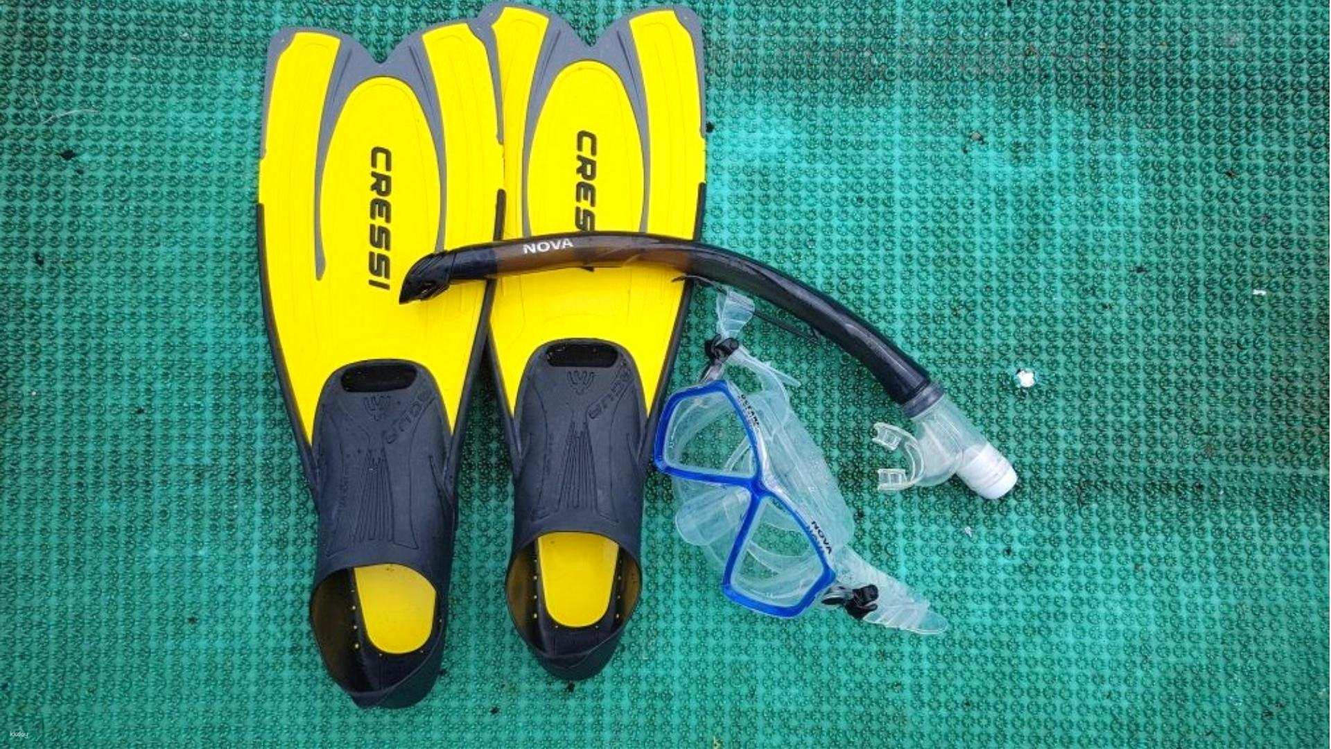 Half Day Join Tour | Snorkeling - Cham Island (Speed Boat) - Photo 1 of 10