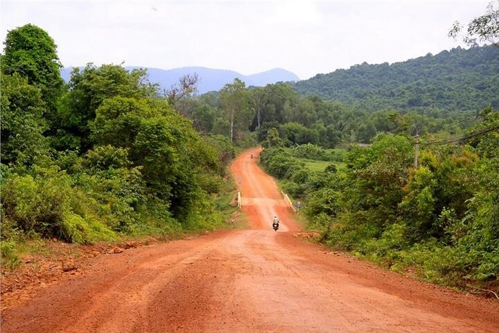 Forest trail