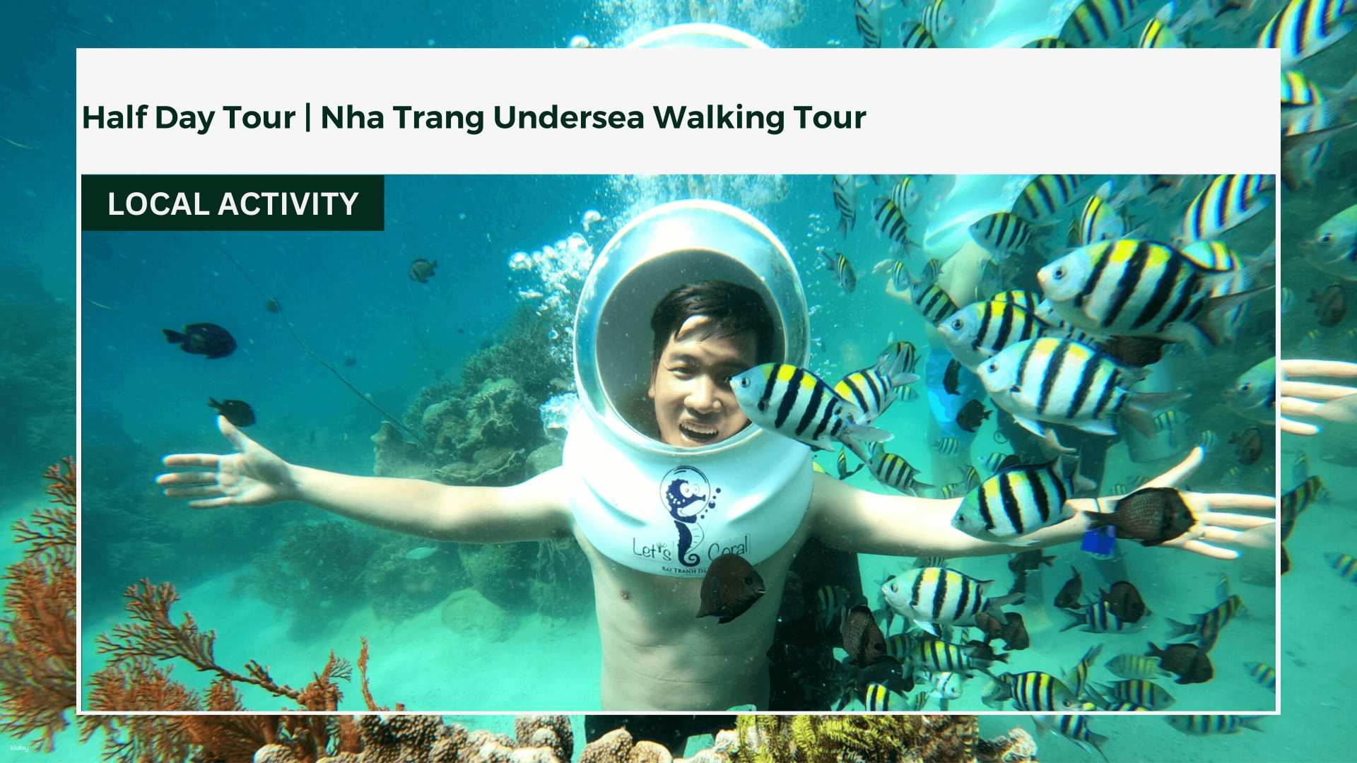 Half Day Tour | Nha Trang Undersea Walking Tour - Photo 1 of 5