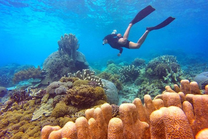 Half Day Tour Snorkeling in Nha Trang Bay Included Lunch - Photo 1 of 6