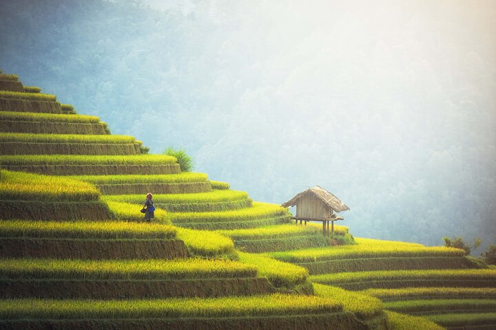 Highlights of Northern Vietnam In 6 Days - Photo 1 of 13