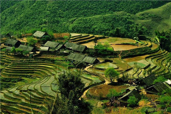 A part of Sapa - Vietnam
