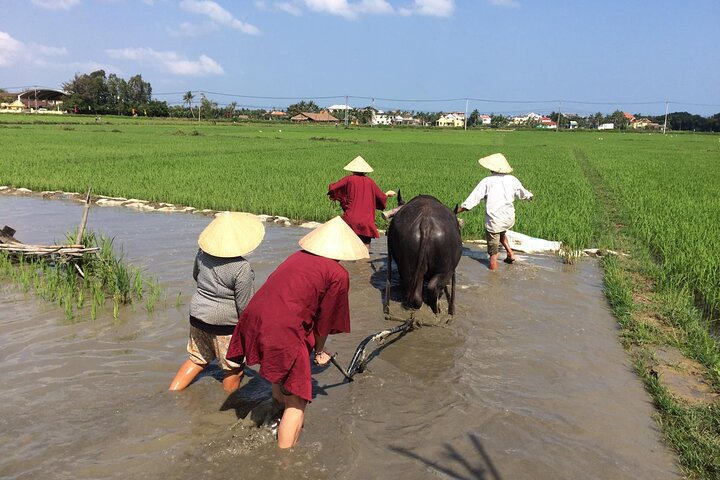 Hoi An Wet Rice Farming Tour Private Round Boat Fishing & Lunch - Photo 1 of 7