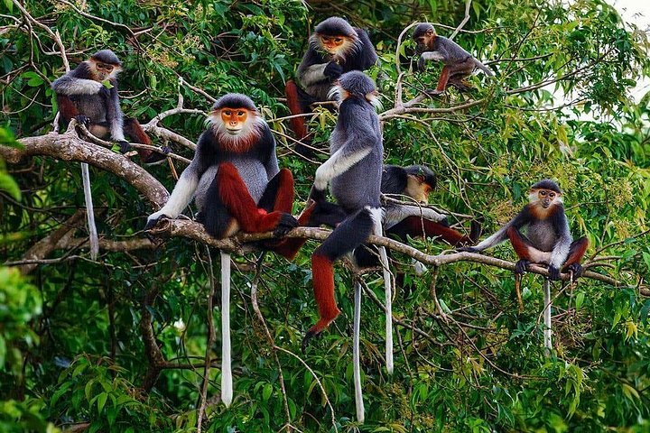 Hue to Dn/Hoi An: Hai Van Pass, beaches & Mt Monkey or vice versa - Photo 1 of 6
