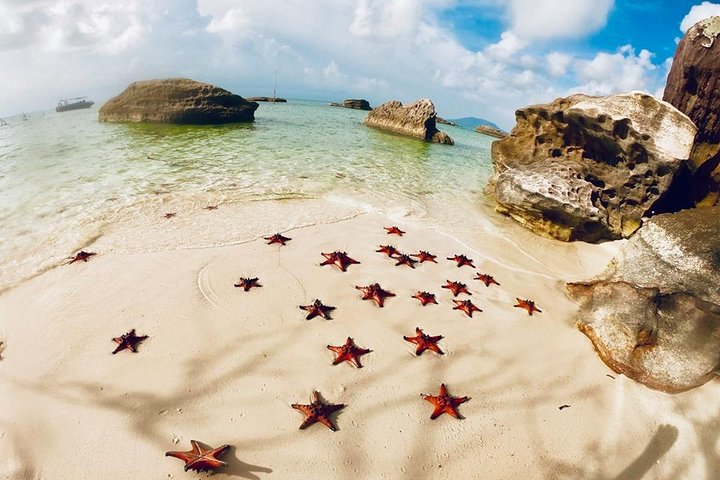 Explore the serene shores of Phu Quoc where starfish dot the sandy beach inviting travelers to a day of kayaking honey tasting and forest trails alongside stunning coastal views.