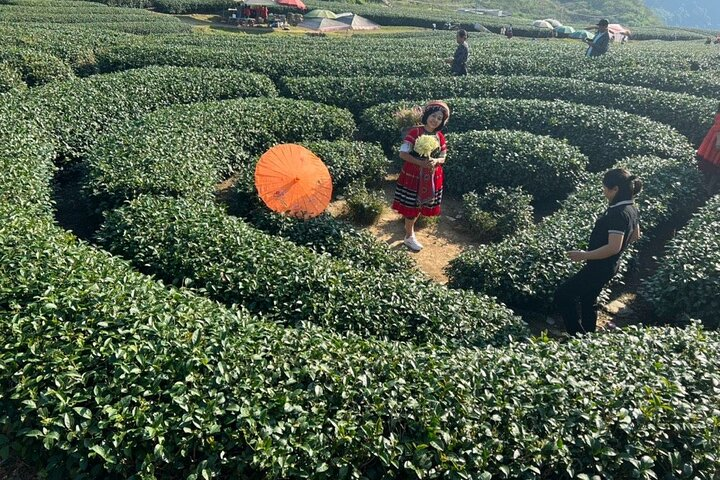 Mai Chau-Moc Chau 4 Day Tour with Glass Bridge -Guinness World Records
