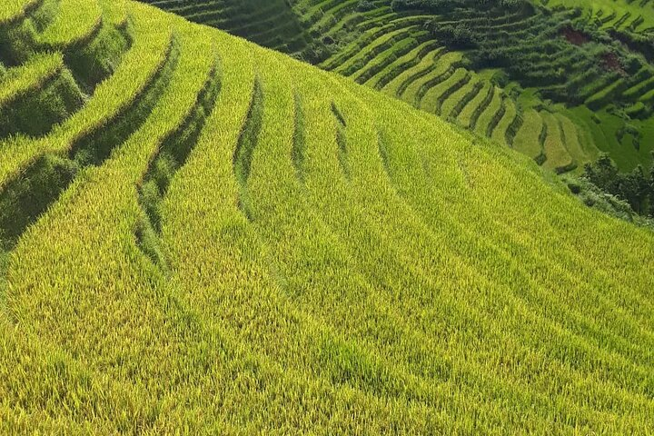 Mai Chau - Pu Luong 2D1N - Photo 1 of 11