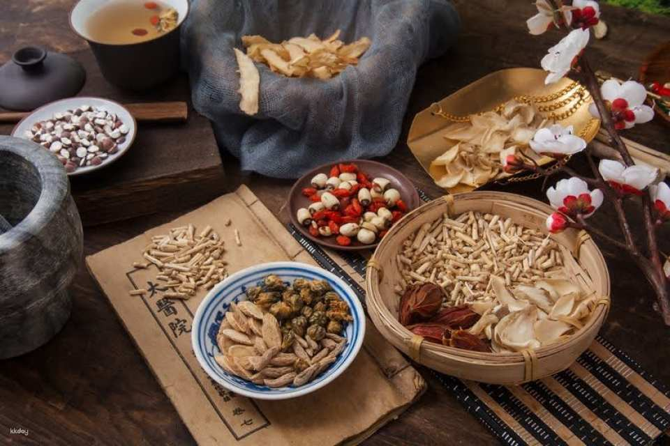 Medicinal Plants & Culinary Experience at Thanh Dong Village | from Hoi An, Vietnam - Photo 1 of 10