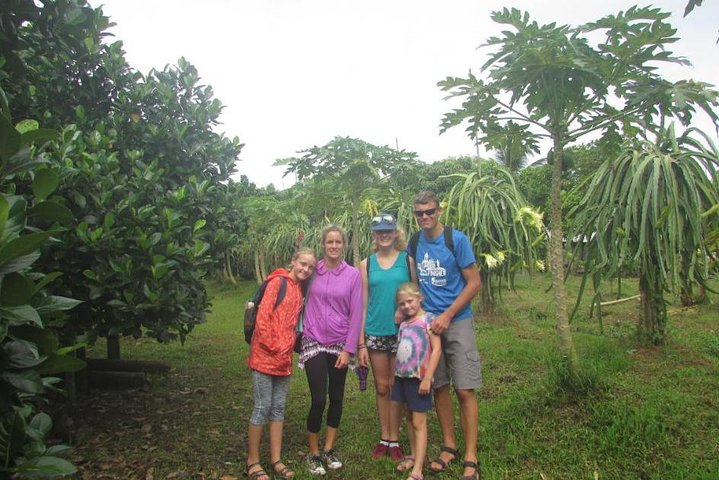 Mekong Delta and Cai Rang Floating Market 5-Hours Tour - Photo 1 of 25