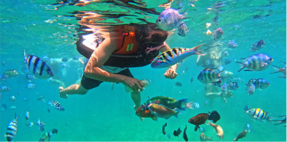 Nha Trang Boat Tour, Speedboat Snorkeling, and Hopping Tour (Korean Guide) - Photo 1 of 5