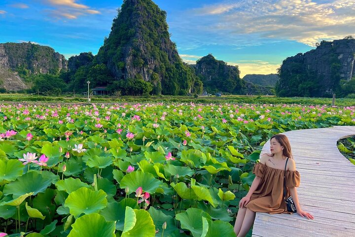 Experience the beauty of Ninh Binh's lotus fields and majestic mountains where tranquility meets local culture offering an unforgettable escape into Vietnam's stunning landscapes.