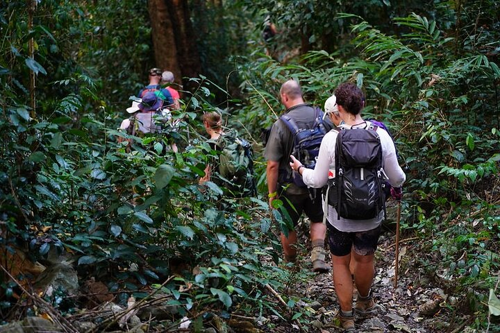 Northern frontier adventure to Cat Ba Island 8 days 7 nights - Photo 1 of 25