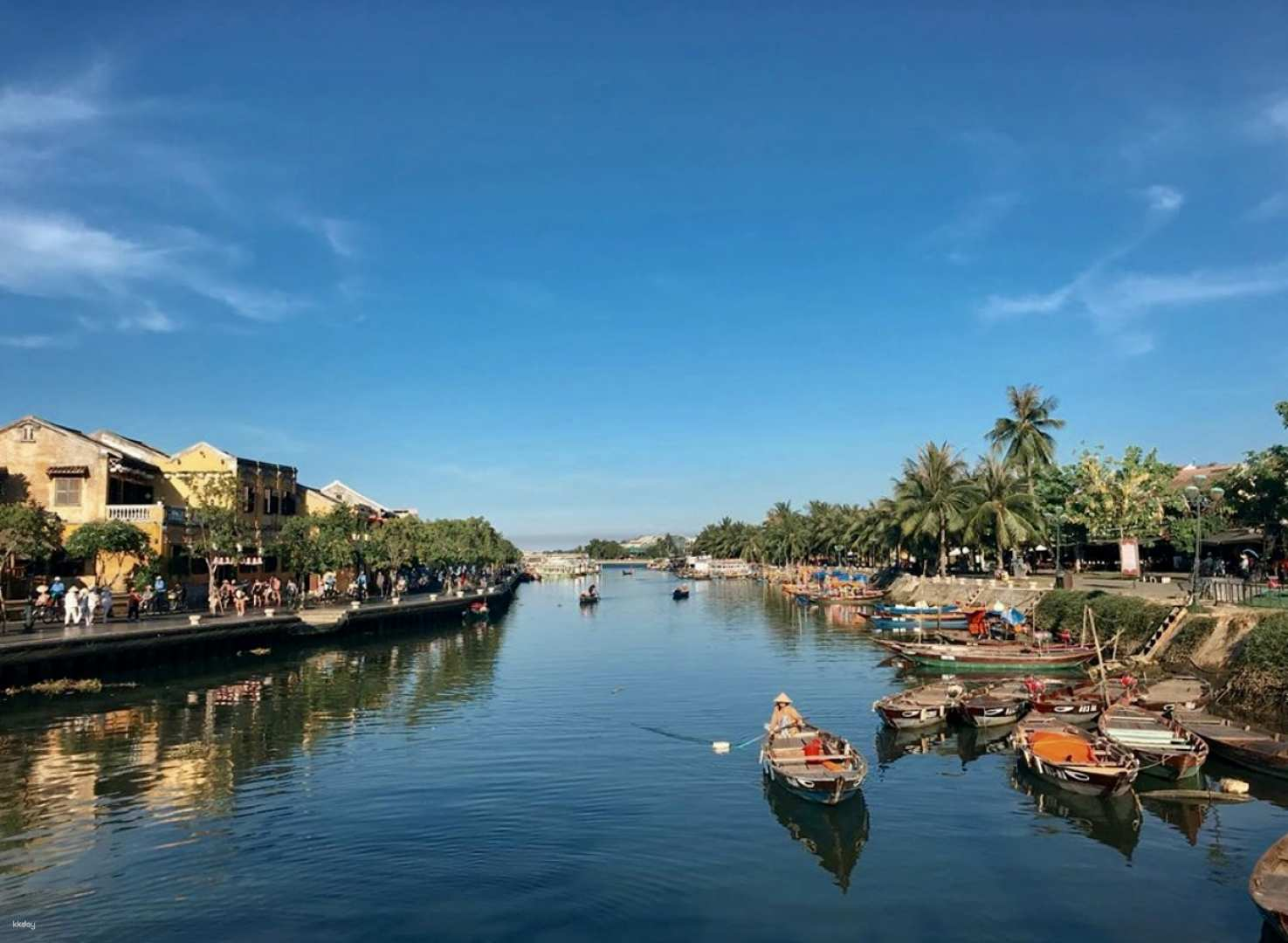 One Day Group Tour From Hoi An: Hoi An Ancient Town Walking Tour, Food Tour, Buffalo, Basket Boat Riding and Cooking Class - Photo 1 of 24
