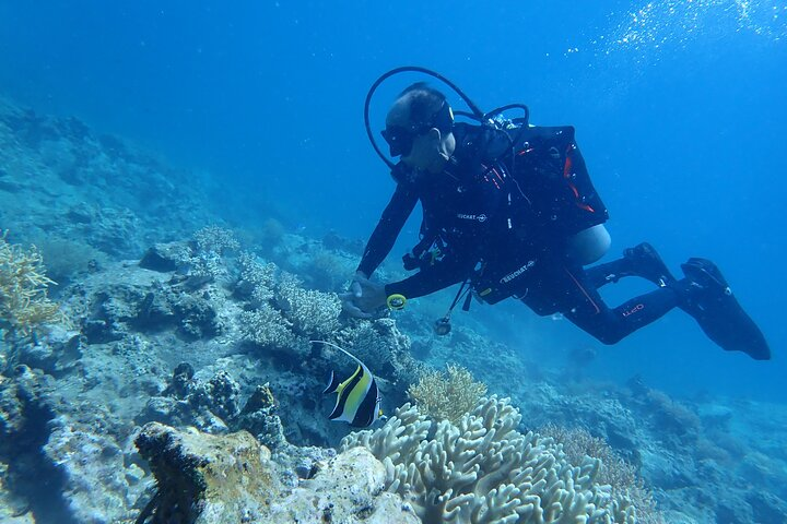 Immerse in the underwater world of Phu Quoc exploring colorful coral reefs and diverse marine life designed for beginners eager to discover the joys of scuba diving.