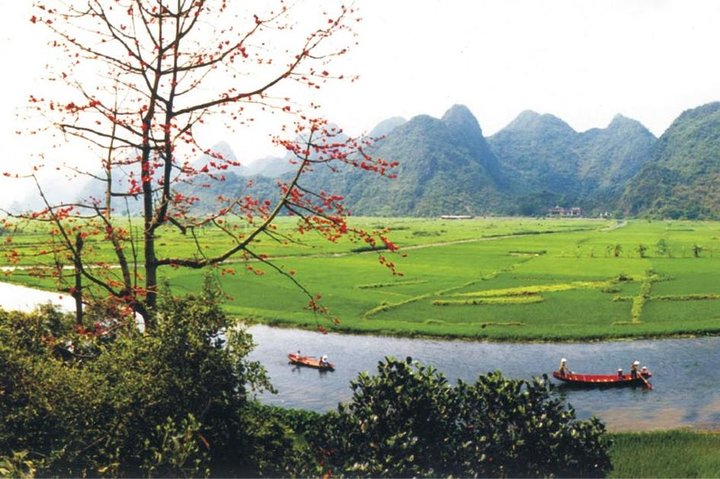 Suoi Yen - Pathway to Perfume Pagoda