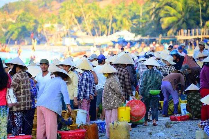 early morning fish market of Mui Ne