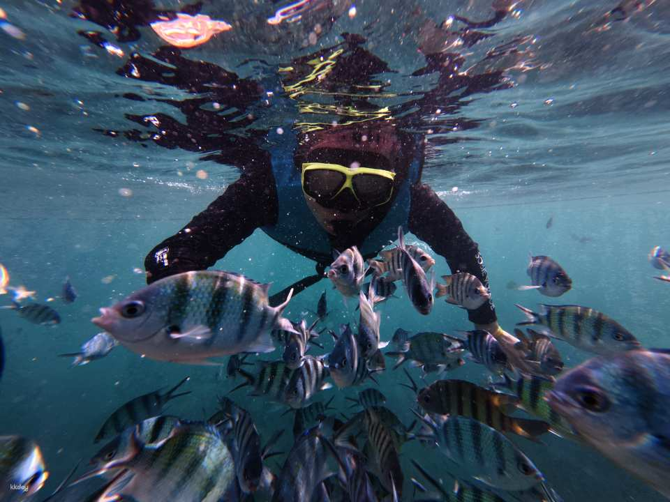 Phu Quoc 3-Island Cano Trip – Snorkeling at Gam Ghi & Check-in at Mong Tay and May Rut Islands - Photo 1 of 10