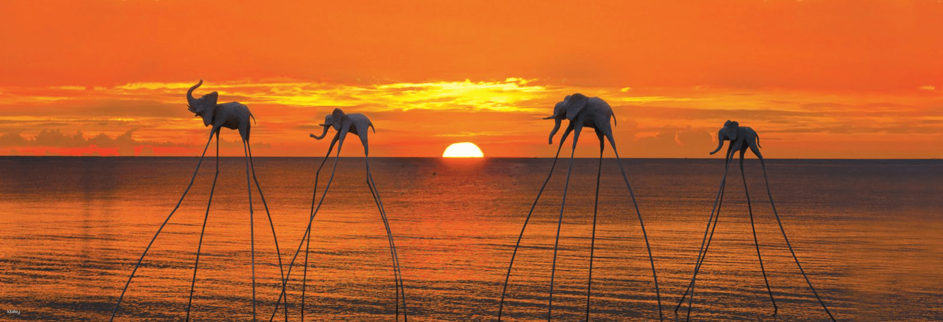 Experience the stunning sunset over Phu Quoc Island while learning unique squid fishing techniques followed by a delightful seafood dinner made from your own catch—all under a beautiful night sky.