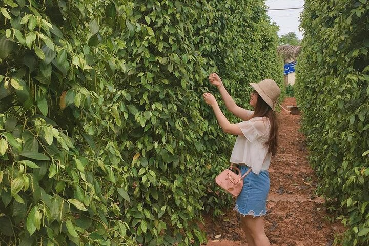 Phu Quoc Picnic tour at Da Ban Stream full day - Photo 1 of 6